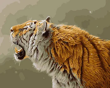 

Frameless diy paintings by numbers paint by number for home decor PBN for living room 4050 tiger
