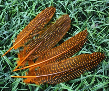 

New Arrival! 50Pcs/Lot 6-8 Inch 15-20cm orange Natural Guinea Fowl Wing Feathers