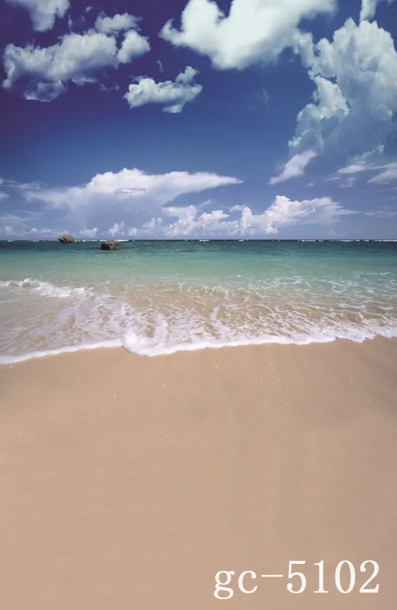 

3*5M Art Cloth Custom Photography Backdrops Prop Indoor theme Studio Background GC-5102