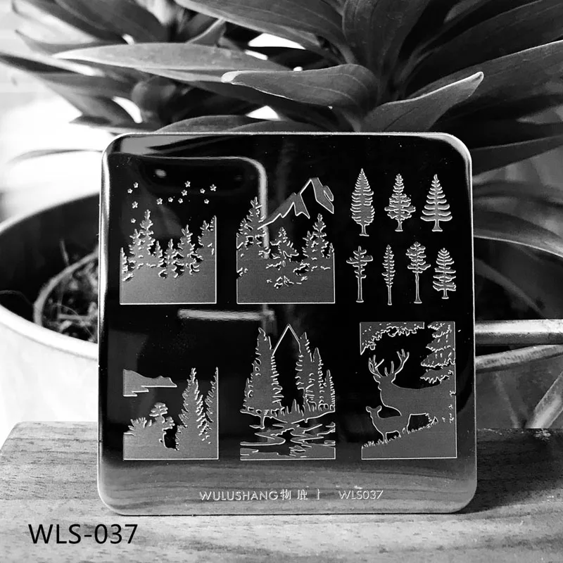 

1 Sheet Template 6cm Stainless Steel Nail Stamping Plates F Nail Art DIY Design Nail Image Plate Stencil Accessories Tool