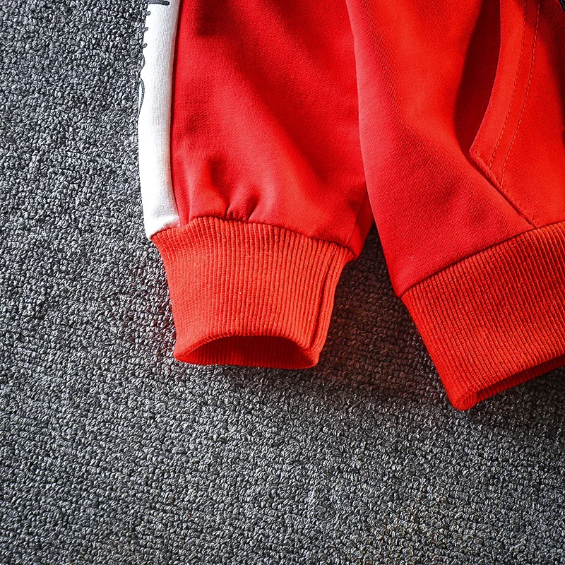 2019 Autumn Baby Boys Clothing Sets Fashion Girls Hooded Sweatshirt And Pants Suit Children Clothing Tracksuit Kids Clothes Set (12)
