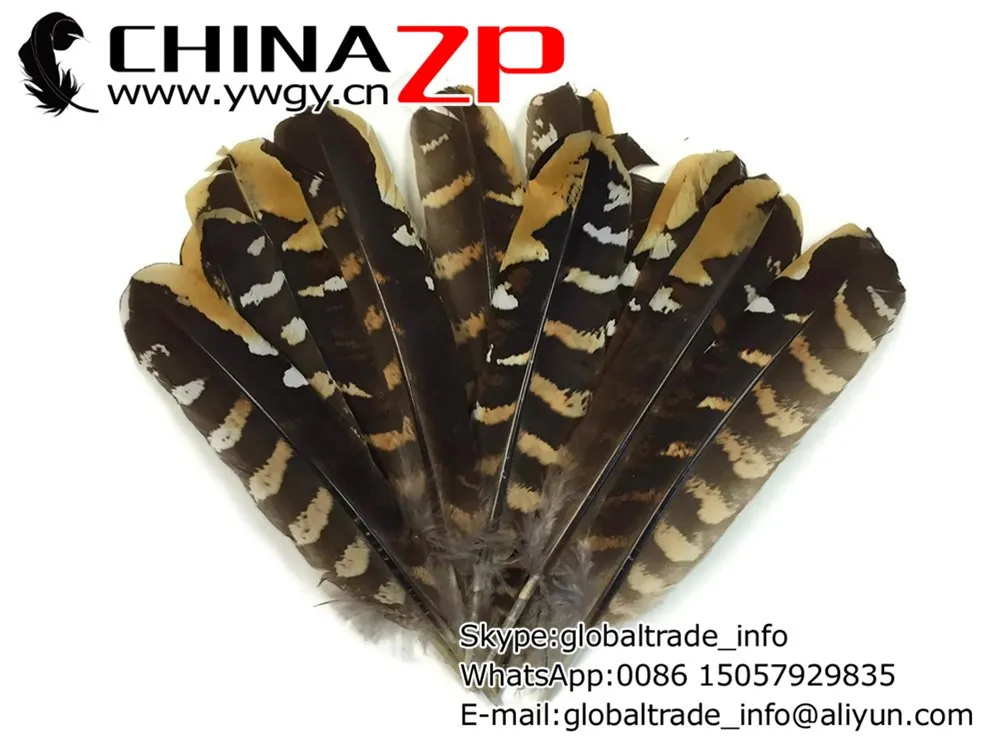 Pheasant Feathers, 5 Pieces - 6-8 NATURAL Reeves Venery Pheasant Wing Feathers 3