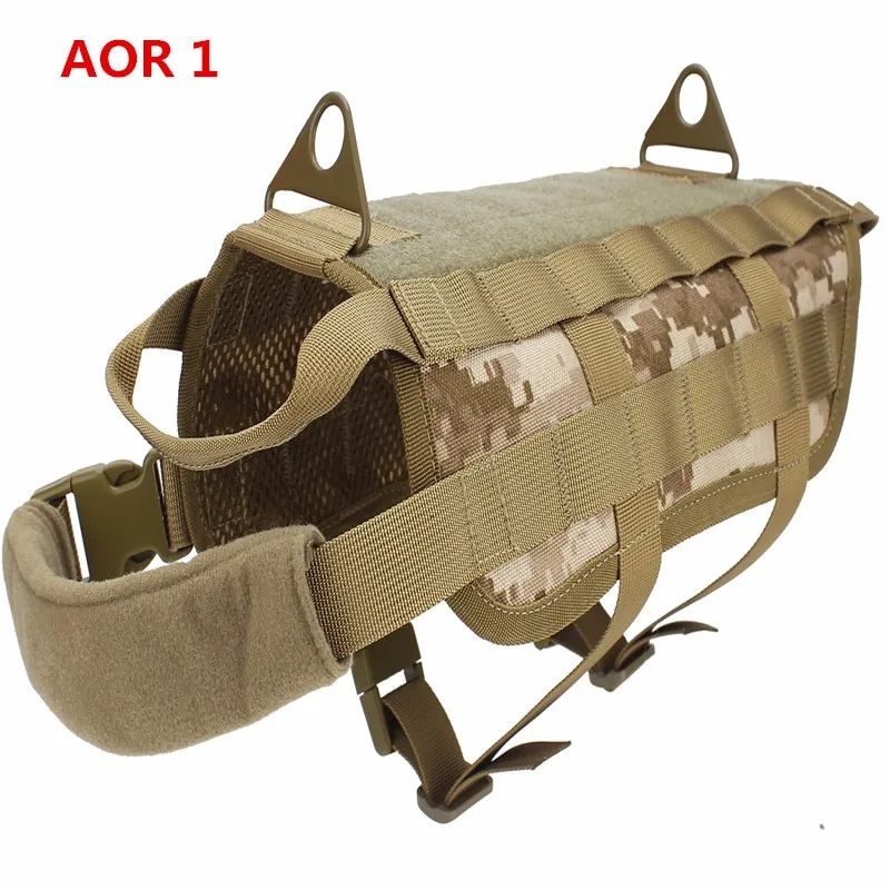 AOR1