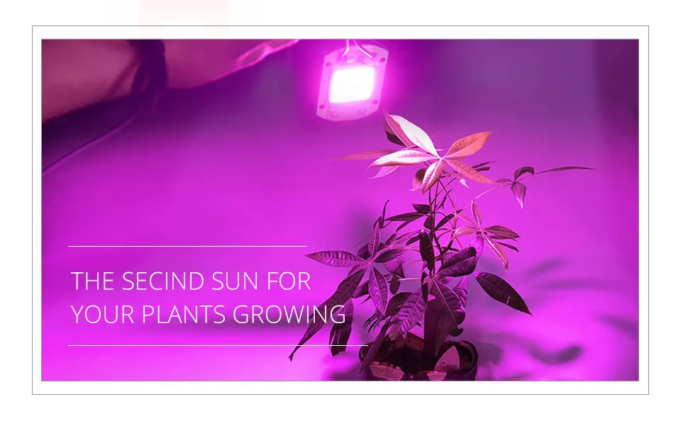 grow led cob chip (2)
