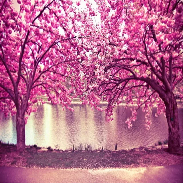 Pink Cherry Blossom Trees Backdrops Photography Printed Flowers Pink Cherry Blossom Trees Backdrops Photography Printed Flowers River Kids Wedding Spring Nature Scenic Photo Shoot