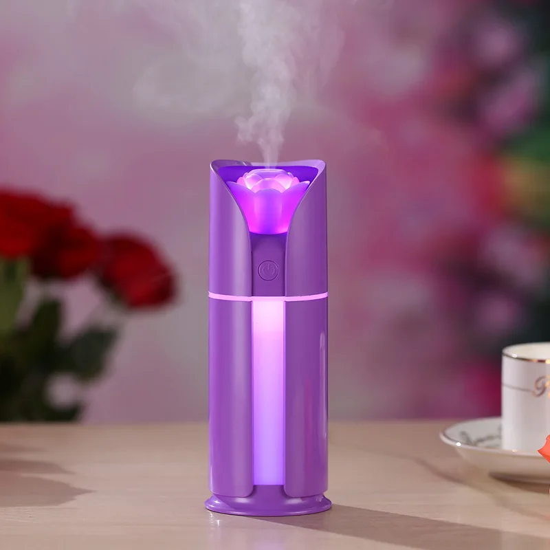facial steamer4