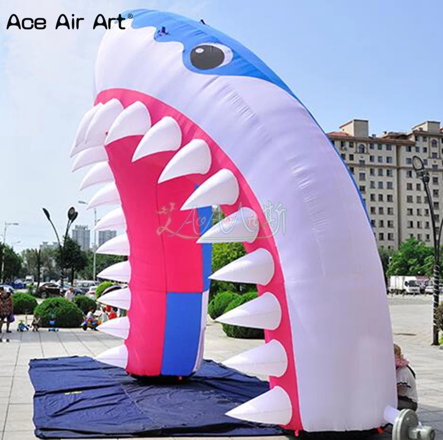 shark arch4_