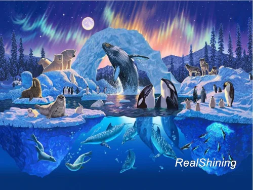 dolphins world(1)