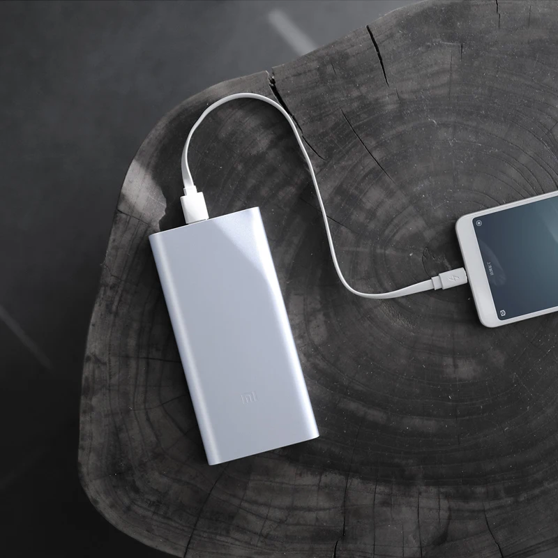 Внешний аккумулятор Xiaomi Mi Powerbank 2i 10000 мАч 18 Вт быстрая зарядка с двойным выходом USB