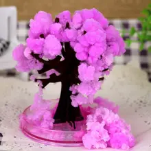 2017 10x8cm Pink Desktop Cherry Blossom Cool Japan!ThumbsUp!Magic Japanese Sakura Tree-Brand New Made in Japan Grow Paper Trees
