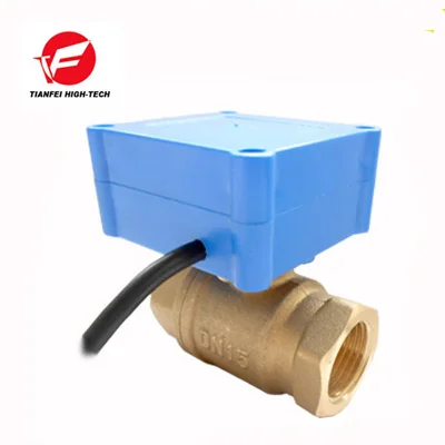 CWX-20P 1.0B DN15 небольшой мини-клапан электрический латунный female-female BSP DC5V DC12V CR01 CR02CR05 mororized шаровой клапан для отопления воды