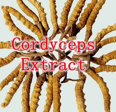 250gram (8.8oz) natural Cordyceps Extract 30% polysaccharides free shipping |