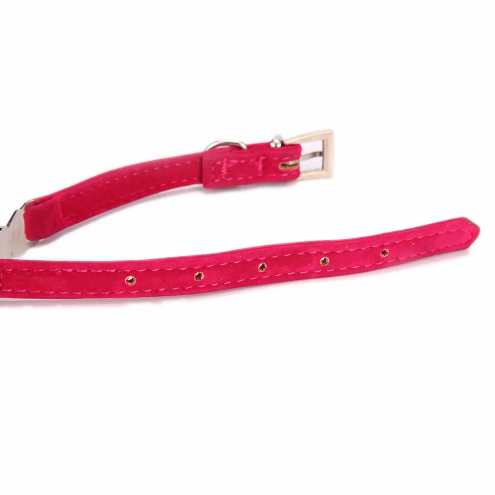 Dog Collars JW0019-4