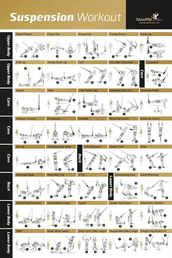 007 Barbell Dumbbell Workout Stretching Exercises Body Gym Chart - 6PCS Set