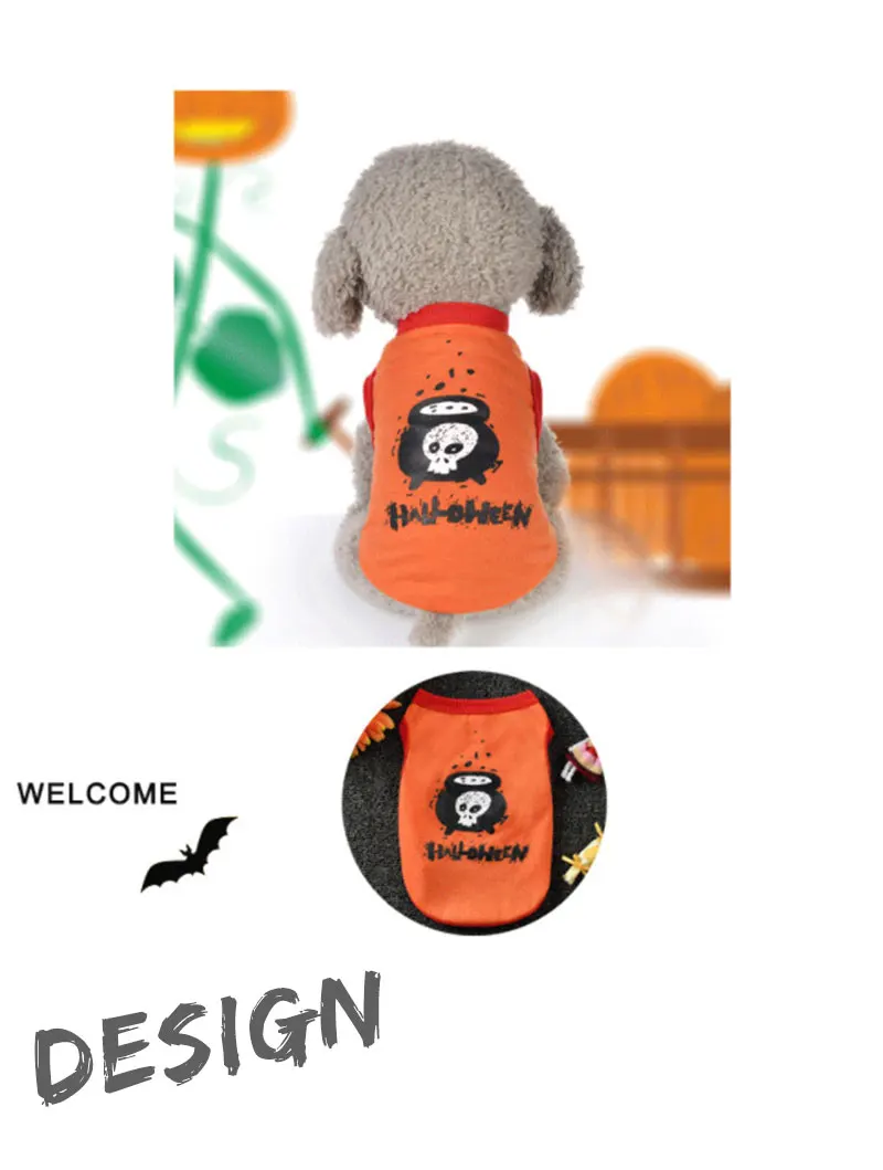 dog coat pug