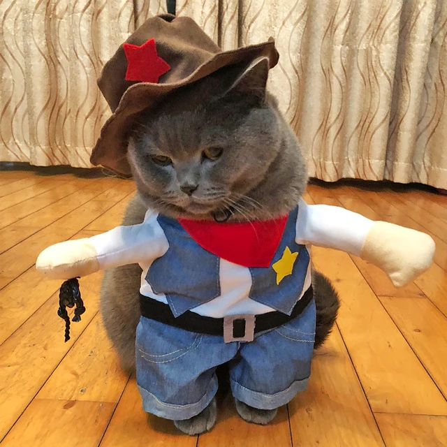 Kitten Puppy Kot Odzież Kostiumy śmieszne Koty Małe Psy Cowboy
