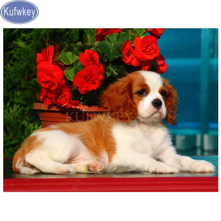 Kufwkey кавалер король Шарль спаниель алмазная живопись полная квадратная Алмазная вышивка мозаика животное, фото на заказ Частный заказ