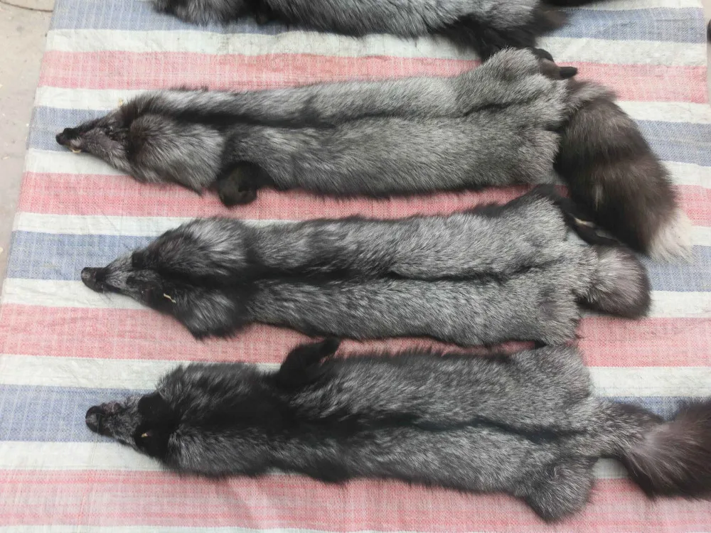 

Good Quality Natural Color Raw Silver Fox Fur Skin/Pelt For Sale