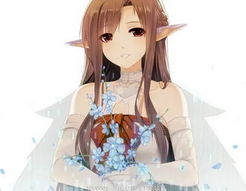 

Sword Art Online Anime Asuna 45*35CM Rectangle Pillow Case #32841