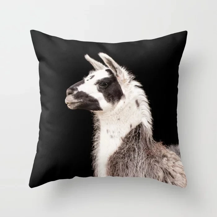 lama--llama-pillows.webp