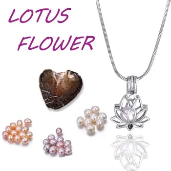 

Lotus shape cage pendant charming pretty Hot Sale love Fashion Silver Plated mix Style Jewelry Gifts For Women Children PO47