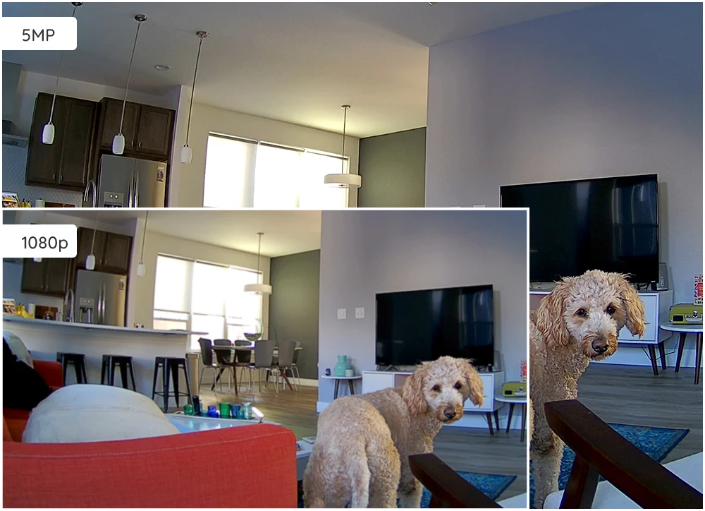 C2 Pro-3-pc