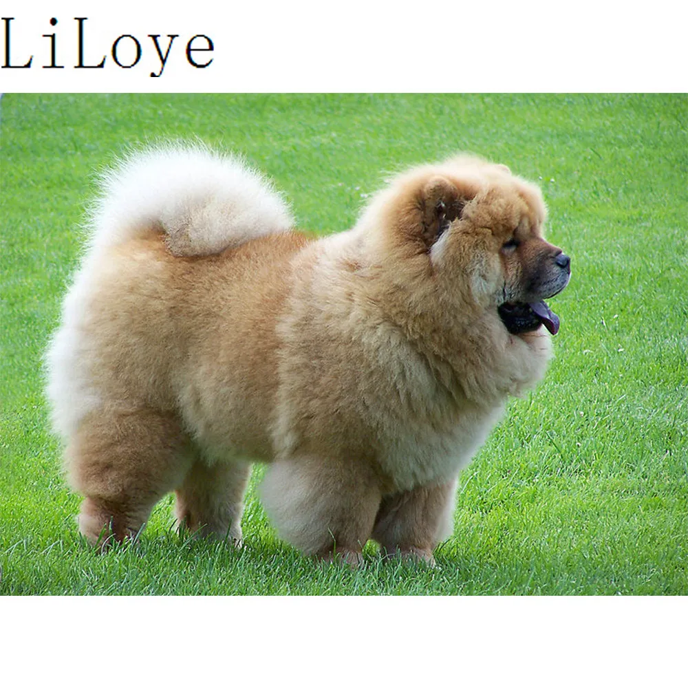 

LI LOYE Diy Diamond Painting Cross Stitch 5D Diamond Picture Mosaic Needlework Diamond Embroidery Dog Decoration Painting QW636