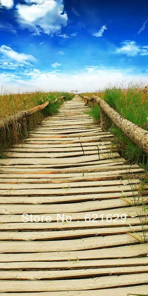 

Natural scenery 10'x20' CP Computer-painted Scenic Photography Background Photo Studio Backdrop HY-CM-1899