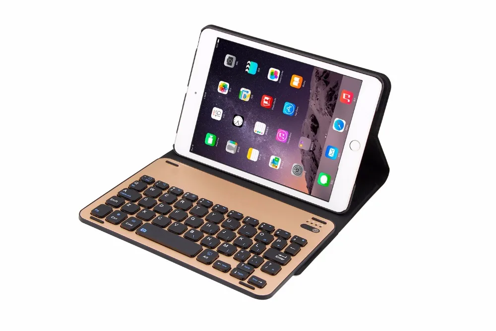 iPad mini 123  1008 (19)