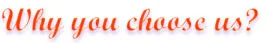4-why u choose us