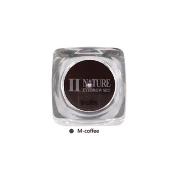

Tattoo Pigment PCD Permanent Makeup Pigments Tattoo ink 1pcs/lot Middle coffee Color For Eyebrow Lip make up Microblading