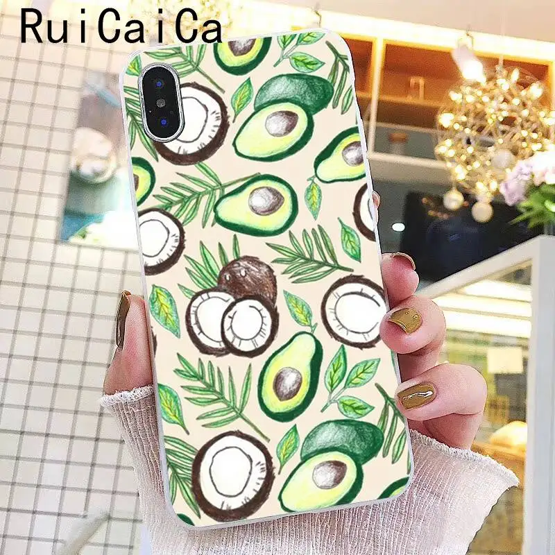 Avocado fruit Cartoon