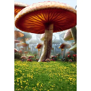 

Fantastic mushromms fairyland children Background for Photography Studio