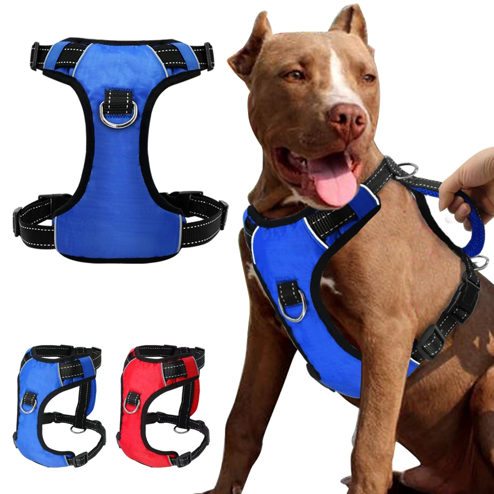 Harness For Small Dogs Reviews Harness For Small Dogs Reviews