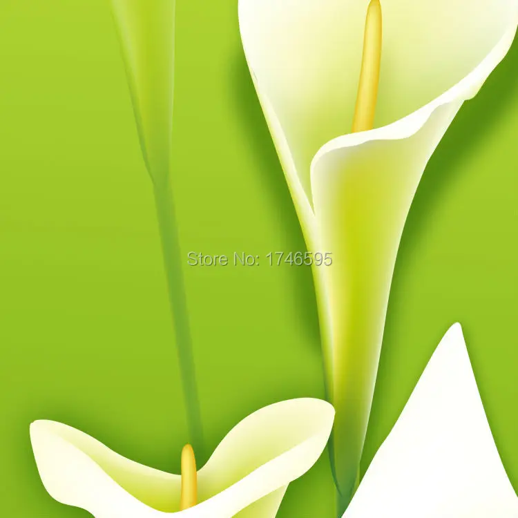 green calla lily-2