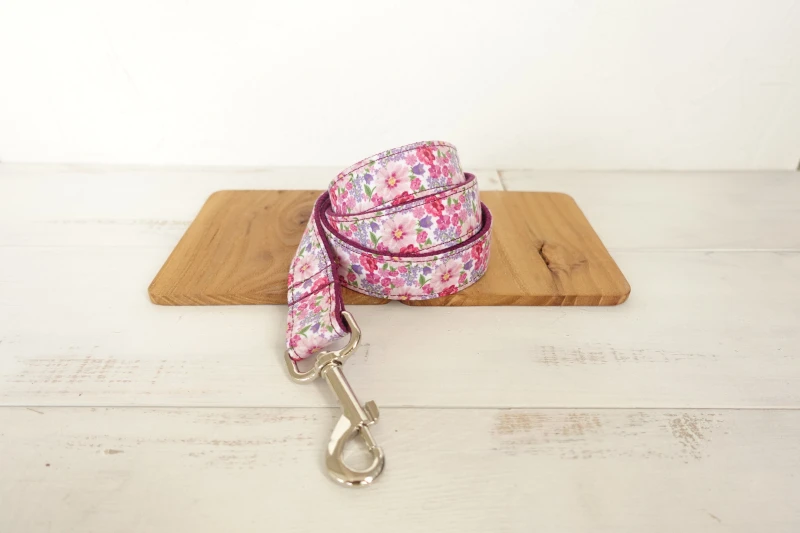 Pet Dog Collar and Leash (8)