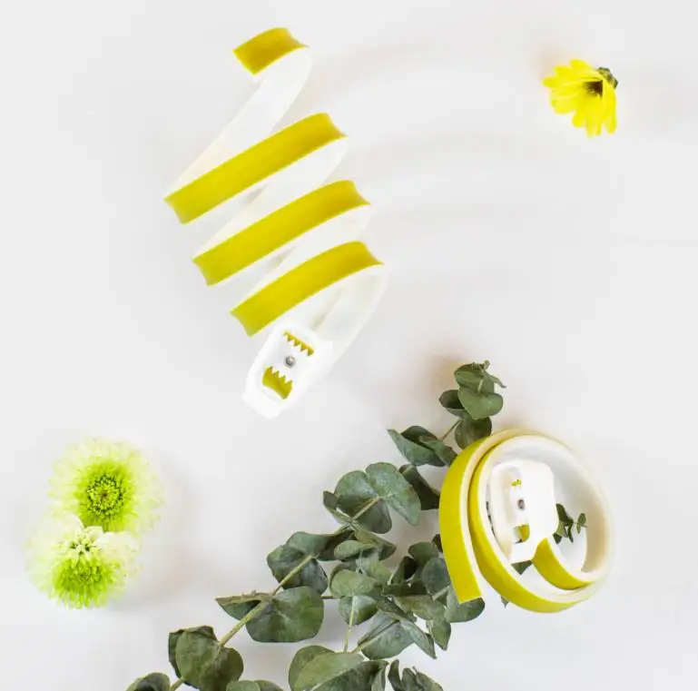 36020190323222821066