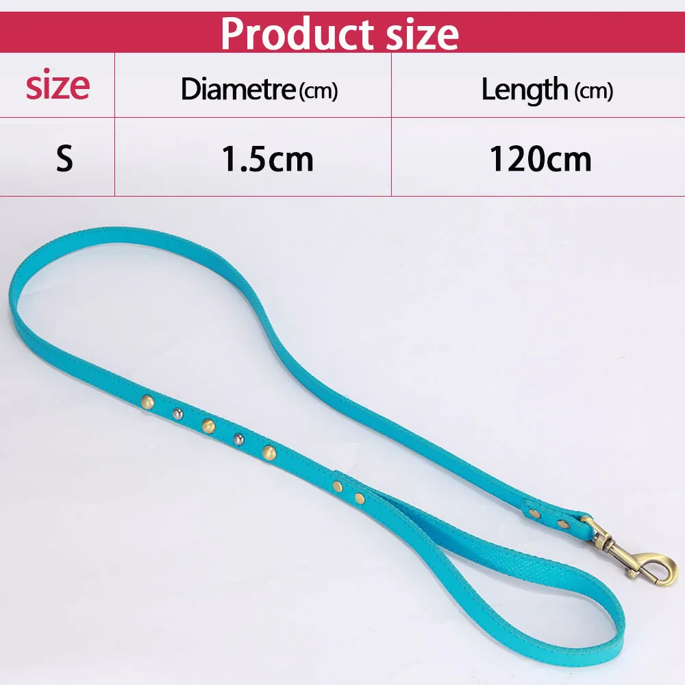 dog leash 2
