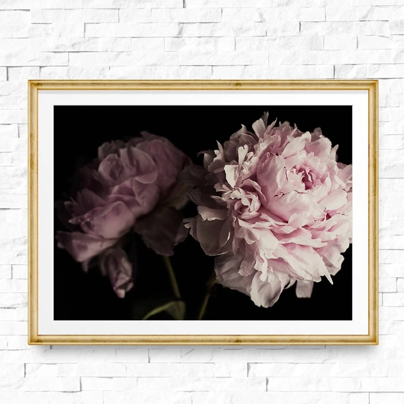 

Peony Black and Pink Photography Picture Canvas Painting Flower Peony Bouquet Poster Print for Living Room Home Wall Art Decor