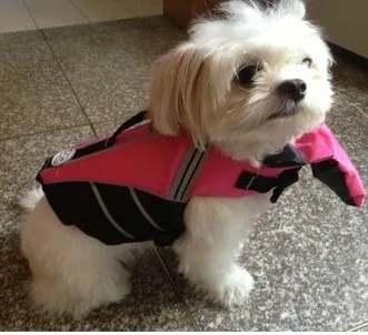 

New High Quality Summer Pet Aquatic Reflective Preserver Float Vest Dog Saver Life Jacket Upgraded with Bartow