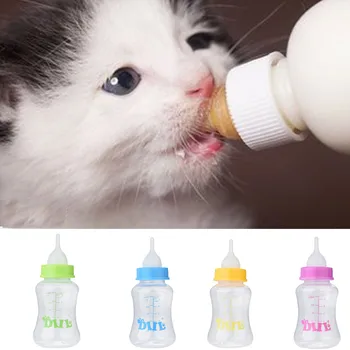 

Kitten Milk Bottle Rubber Nipple Cat Dog Plastic Feeding Water Bottles Nursing Set 1 Month Large Dedicated Pets Feeding Supplies