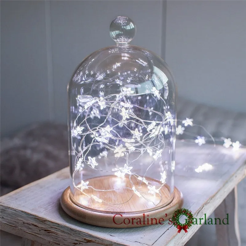 D-DOMESTARW-cool-white-micro-star-fairy-lights-in-bell-jar-glass-dome_P1