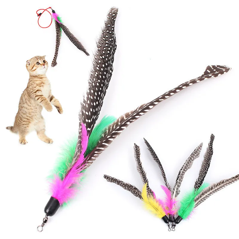 5pcs/lot Bird Feather Wand Cat Kitten Interactive Toys Pet Cat Toy Cute