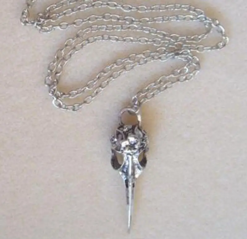 

2PCS Fashion Vintage Silver Crow Raven Bird Skull Pendant Necklaces- Pagan Gothic Charms Jewelry Gifts