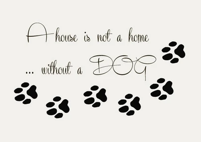 DCTAL Pet Shop Vinyl Wall Decal Dog Quote Paw Prints Pet Home Mural Wall Sticker Pet Salon Room Home Decoration