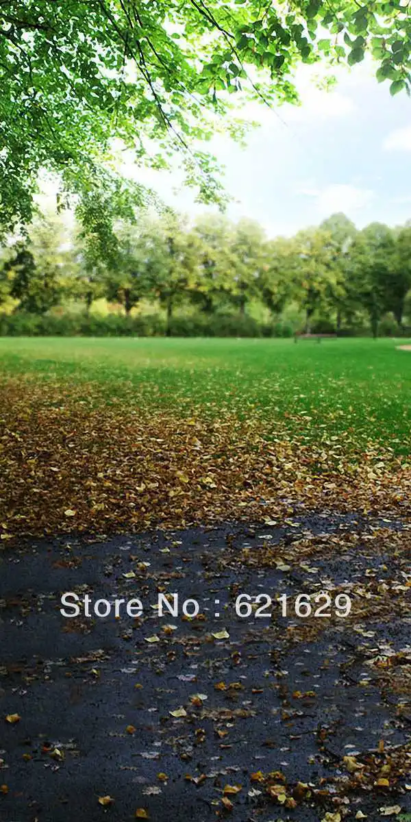 

Natural scenery 10'x20' CP Computer-painted Scenic Photography Background Photo Studio Backdrop HY-CM-1872