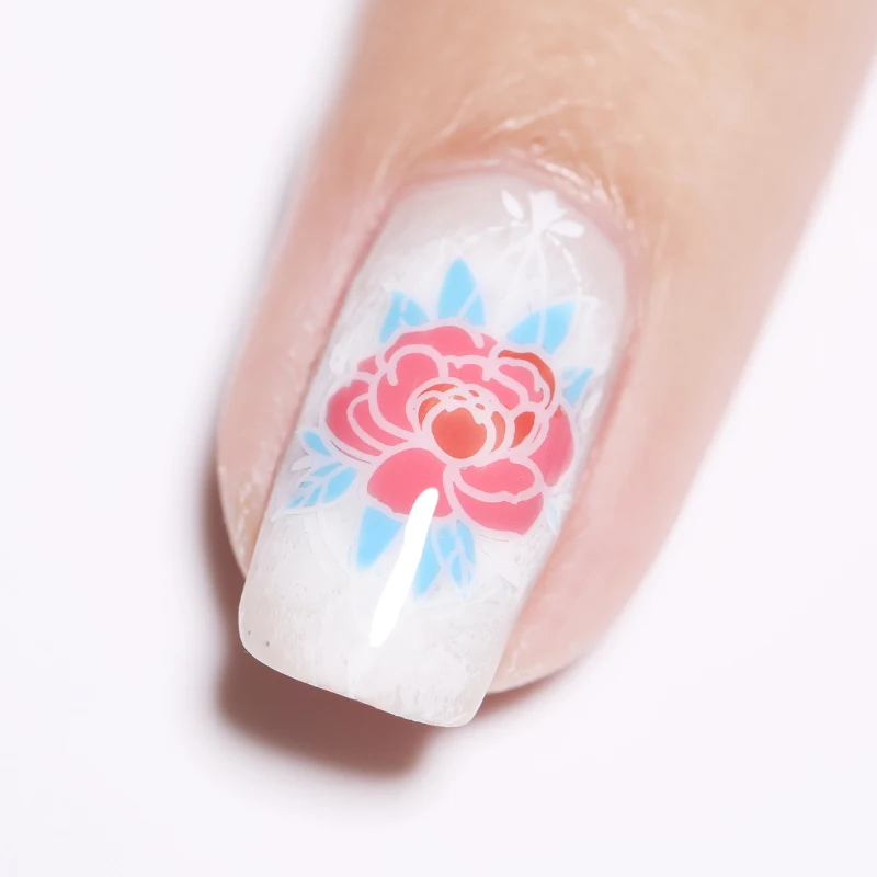 Ceny Urodzony dość 5 butelka Stampping polski zestaw wiosna lato serii znaczek płyty polski lakier do szablon druku oleju zestaw