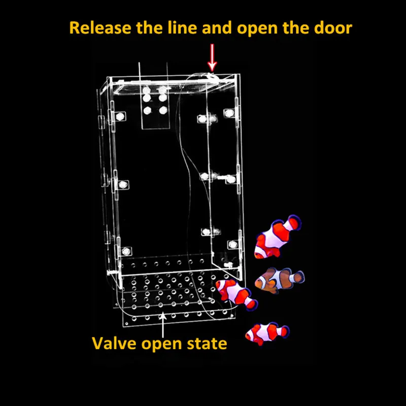 Rope design Acrylic Fishing box trap box for safe catch fish (6)