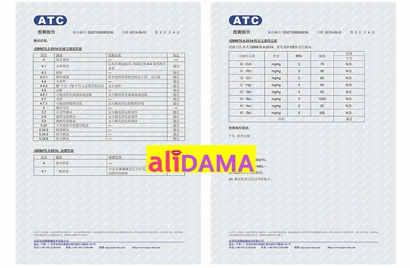Test Report (2)