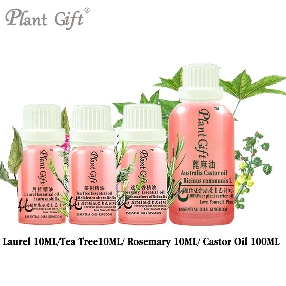

100% Pure Plant Essential Oils Laurel / Tea Tree/ Rosemary / Castor Oil Bay Oil Morocco Imports Convergence Pores Insecticidal